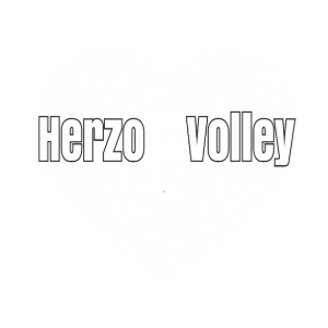 TSH Volleyball BVV Ergebnisse